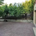 Under The Trees