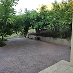 Under The Trees