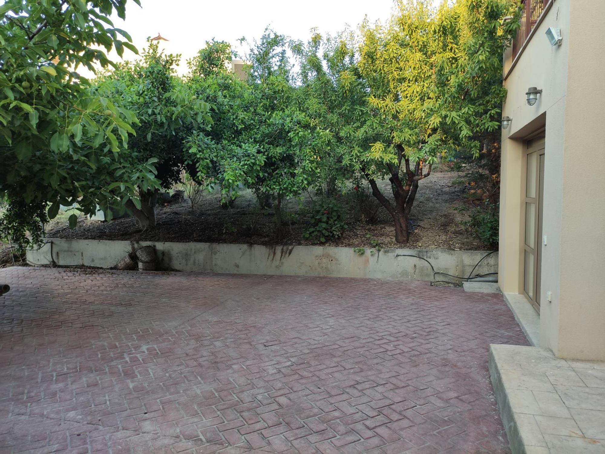 Under The Trees Appartement